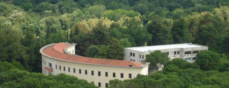 Frame Fgjm 2 768x297