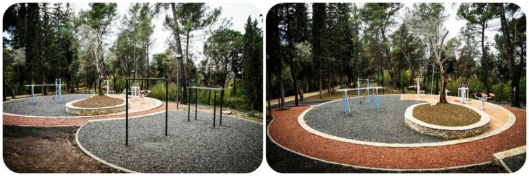 palestra e hapur 3 768x256